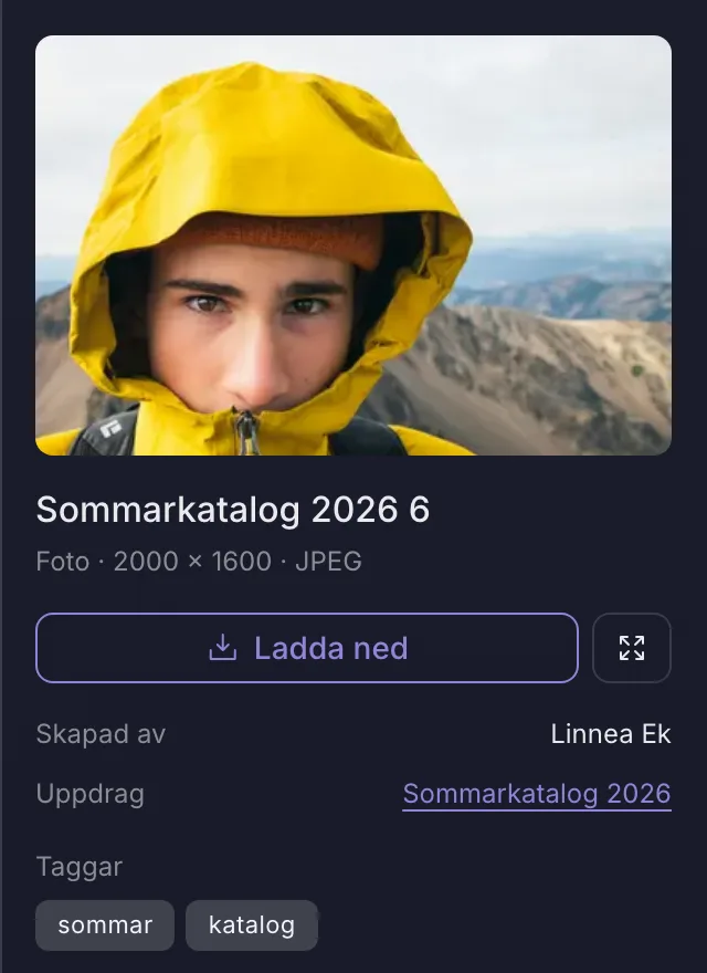 En bild i bildbanken med knapp för nedladdning