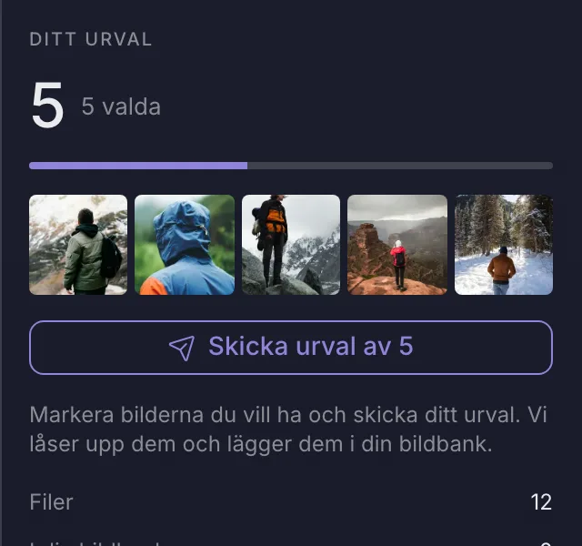 Ett urval av fem bilder, klart att skicka